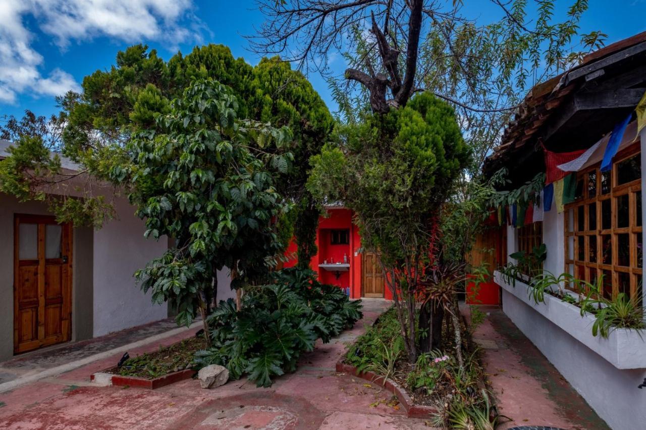 بيت شباب Fandango San Cristóbal de Las Casas المظهر الخارجي الصورة